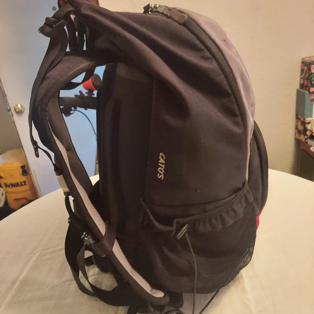 The North Face 'Catos' Backpack